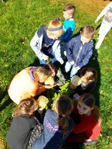 Ogólnopolski Projekt Edukacyjny "Gramy Zmysłami"