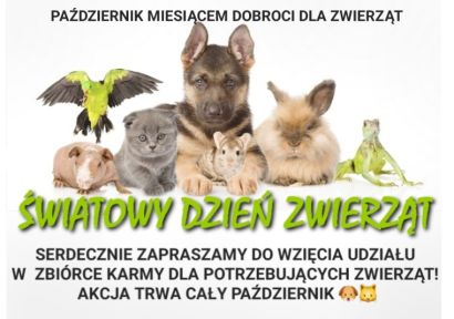 Zbiórka dla zwierząt 